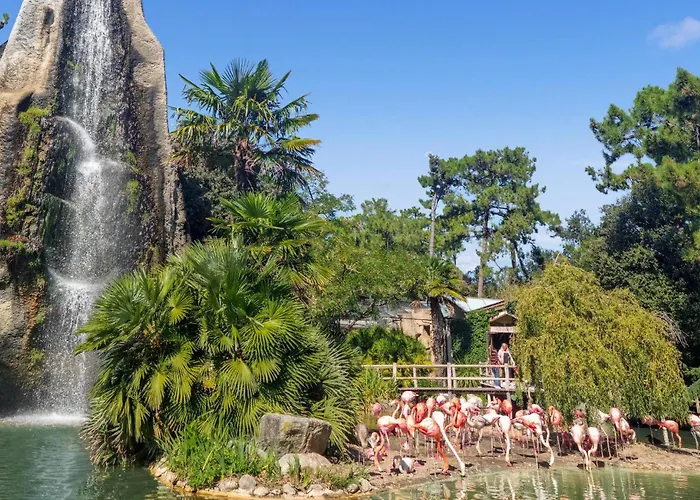 2 Bedroom Gorgeous In *