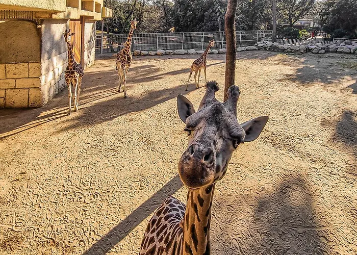 2 Bedroom Gorgeous In * Руайян