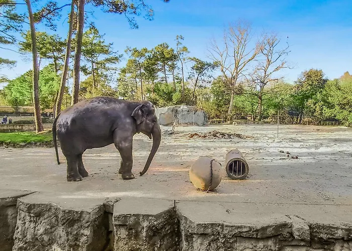 Дом отдыха 2 Bedroom Gorgeous In Руайян